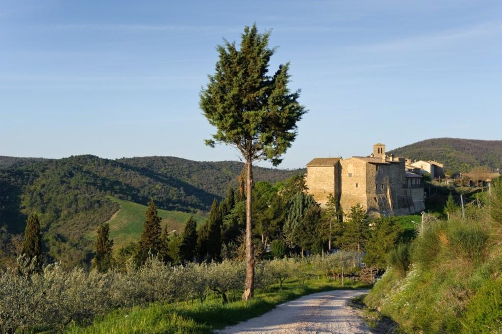 Umbria Nel Cuore Cannara Extérieur photo